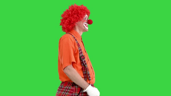 Funny Clown with Red Hair Walking Comically on a Green Screen Chroma Key