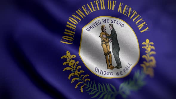 Kentucky State Flag Angle