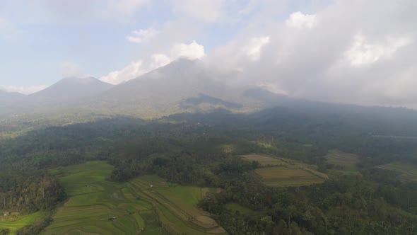 Farmlands and Village Bali, Indonesia
