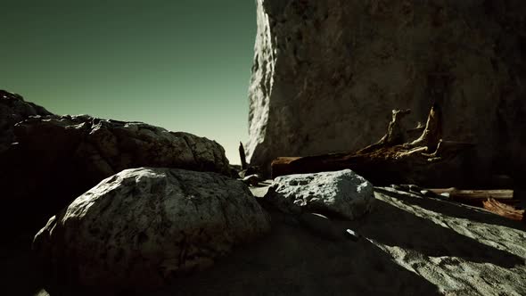 Hyperlapse of Rocky Beach with Dead Trees