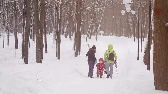 Family Walks in the Winter Garden, Snow Day