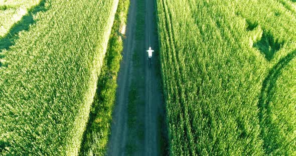 Aerial View on Young Boy, That Rides a Bicycle Thru a Wheat Grass Field on the Old Rural Road