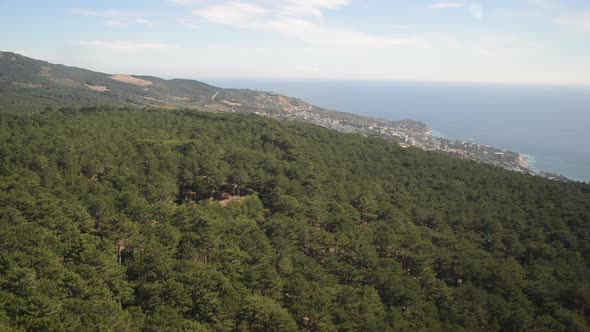 Aerial View From Cableway