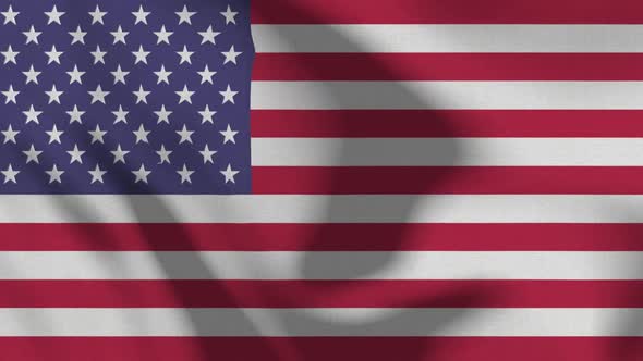 Detailed America Flag