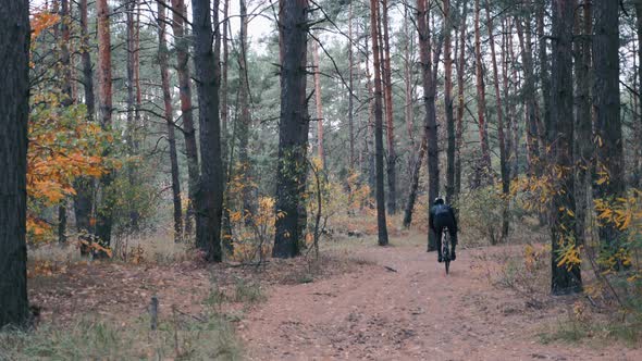 Young male professional cyclist hard training on cyclocross bike in autumn forest. alt