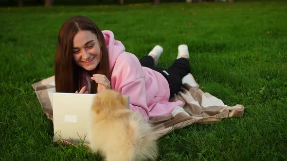 A Small Dog Interferes with a Girl in the Park with a Laptop to Study or Work