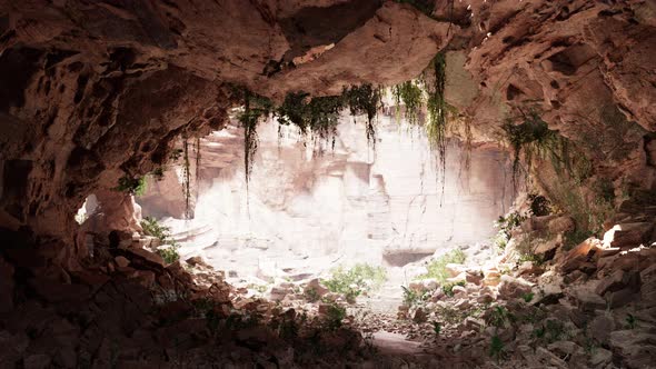 Inside a Limestone Cave with Plants and Sun Shine