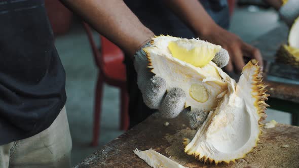 Opening fresh ripe delicious durian fruit outdoor close up