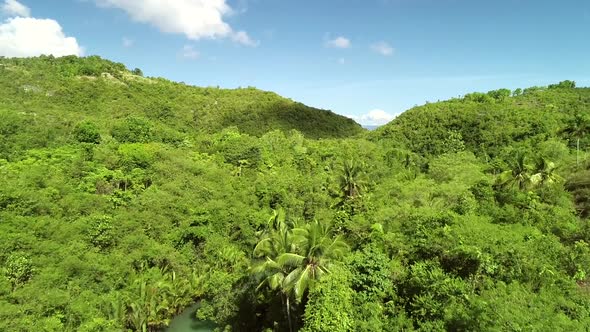 Aerial view of Bojo River towards the Tanon Strait, Aloguinsan, Philippines.