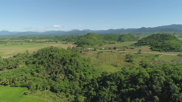 Landscape Rice Terrace Field