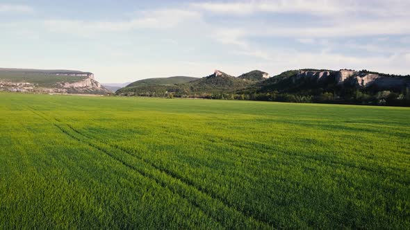 Aerial Green Fields During Summer with Mountains on Background