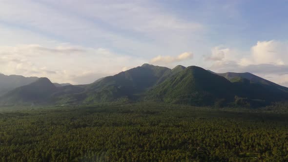 Beautiful Mountain Landscape with a Jungle in Sunny Weather.