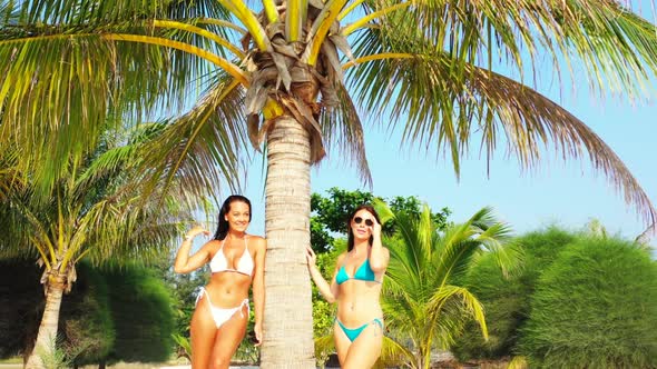 Ladies happy and smiling on marine coastline beach wildlife by blue ocean with white sand background