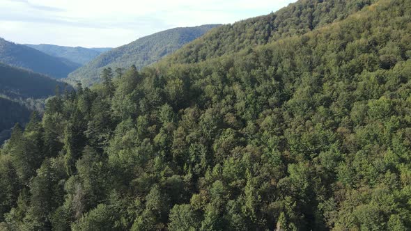 Nature of Ukraine: Carpathian Mountains Slow Motion. Aerial View