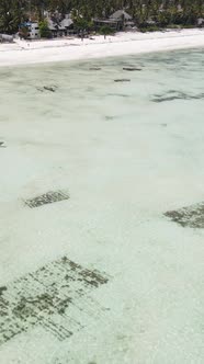 Tanzania  Vertical Video of Low Tide in the Ocean Near the Coast of Zanzibar Slow Motion