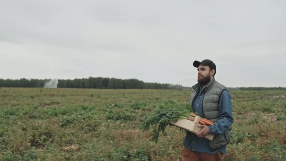 Carrying Box of Carrots