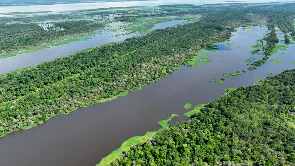 Stunning landscape of Amazon Forest at Amazonas State Brazil.