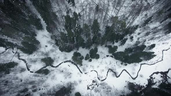 Aerial view of a wild cold winter forest. Flight from the clouds