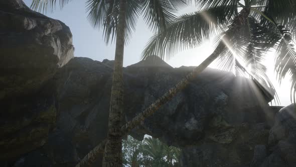 Big Palms in Stone Cave with Rays of Sunlight alt