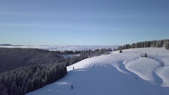 Flight Over the Bugles and Forest in Winter