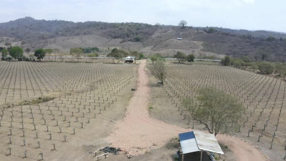 Aerial view flying over a small dirt road of a farm r