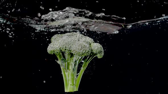 Colorful branch of broccoli being dropped into water in slow motion.