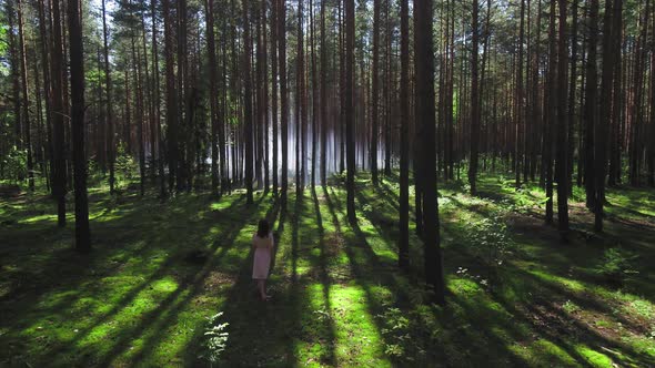 A Girl in a White Dress Walks Through the Woods