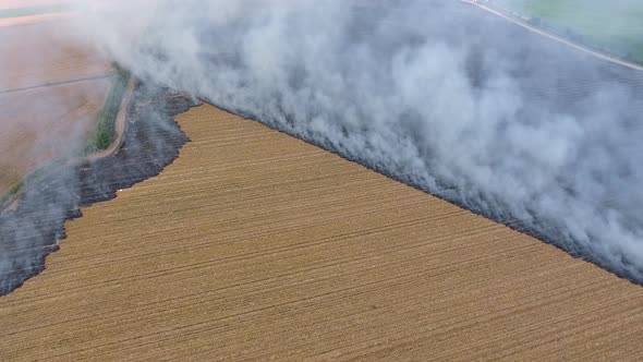 Burning Stubble Smokes