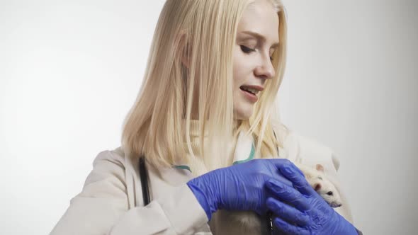 Veterinary Doctor in White Smock and Medical Gloves Holding White Rat