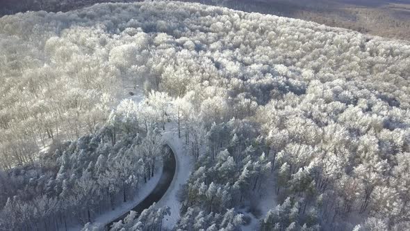 Sabaduri Mountain, Frozen forest, Georgia