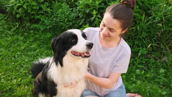 Smiling Young Attractive Woman Stroking Playing with Cute Puppy Dog Border Collie on Summer Outdoor