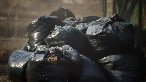 Plastic Trash Bags on Curb Outside City Building