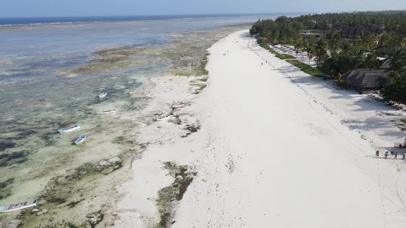 Shore of Zanzibar Island Tanzania at Low Tide