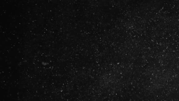 Natural Organic Dust Particles Floating On Black Background