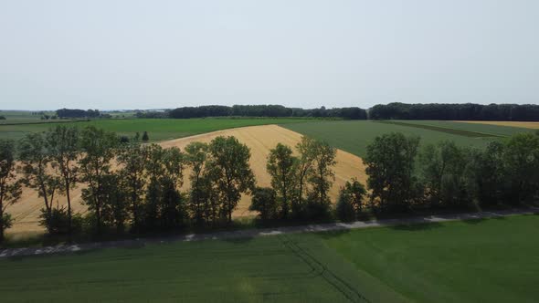 Hilly landscape in south Limburg in the Netherlands, near Klimmen