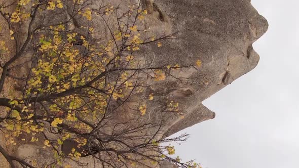 Vertical Video Cappadocia Landscape Aerial View