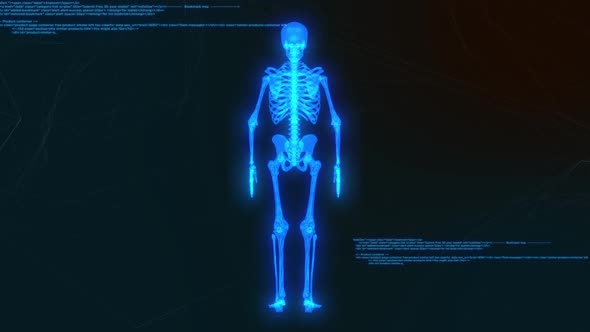 Hologram Skeleton