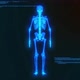 Hologram Skeleton - VideoHive Item for Sale