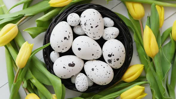 Beautiful Yellow Tulips with Dotted Quail and Chicken Eggs in Nest on White