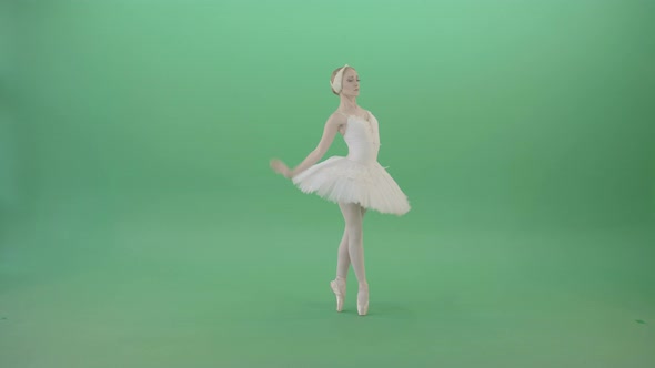 Fashion Snow White Ballet Dancing Girl Showing Swan Lake Dance Isolated on Green Screen
