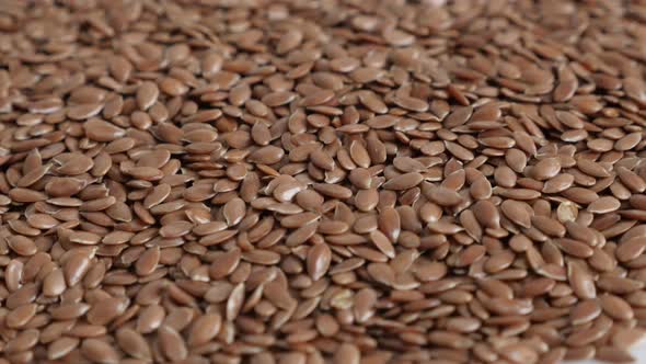 Tiny flax Linum usitatissimum seed 4K video