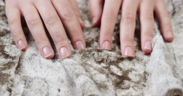 Brown Fur Closeup