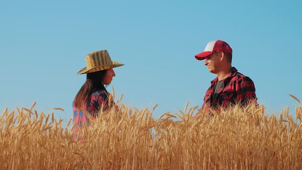 Farmers Handshake Over the Wheat Crop in Harvest Time. Team Farmers Stand in a Wheat Field with