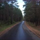 Forest Road After Rain Slowly - VideoHive Item for Sale