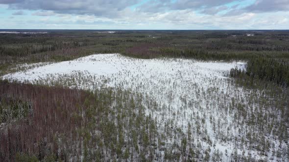 Mire In Finland In The Winter