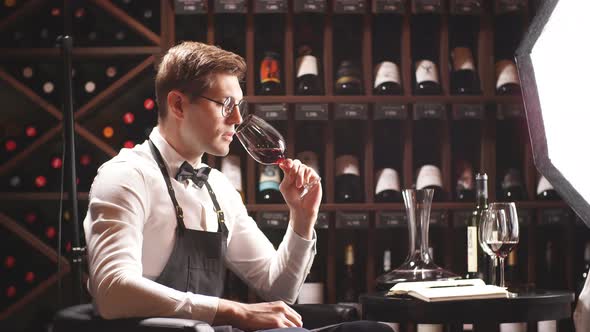 Wine Expert Holds a Glass of Wine, Looks at Tint and Smells Flavor, Degustating