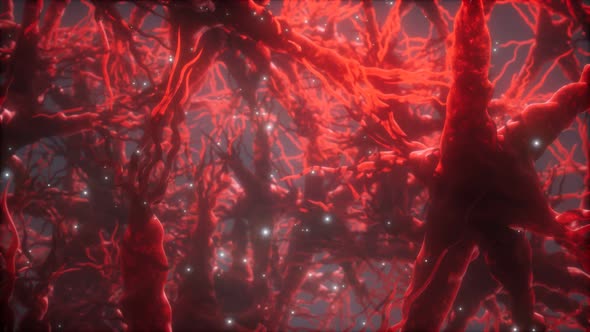 Journey Through a Neuron Cell Network Inside the Brain