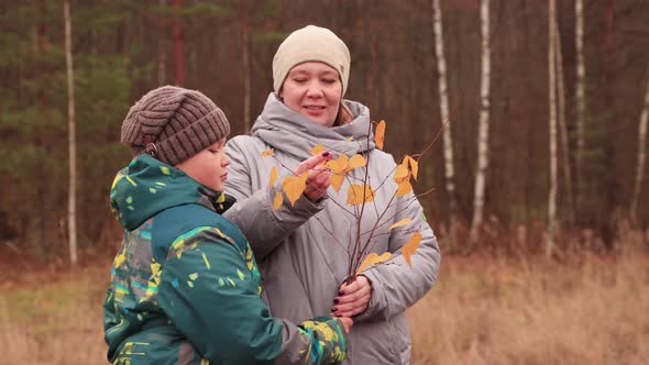 Happy Mom and Son Pick Autumn Foliage From a Twig and Toss It Up