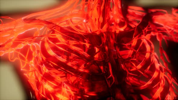 Inspection of Blood in the Blood Vessels of the Circulatory System