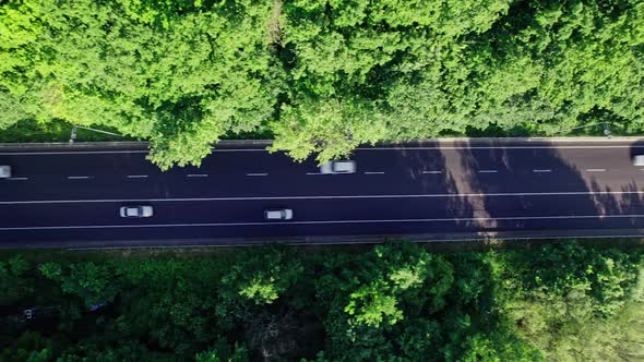 Road With Cars in Colorful Countryside Forest